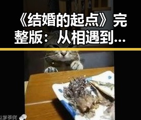《结婚的起点》完整版:从相遇到婚礼的浪漫旅程背后隐藏的深意