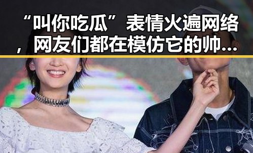 “叫你吃瓜”表情火遍网络，网友们都在模仿它的帅气动作！
