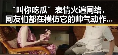 “叫你吃瓜”表情火遍网络，网友们都在模仿它的帅气动作！