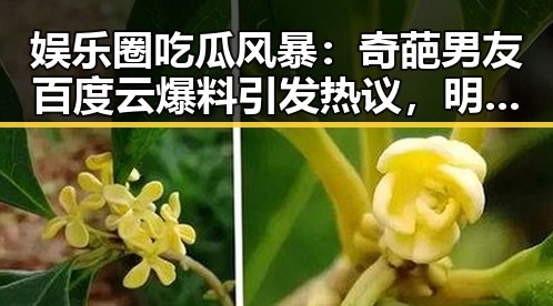 娱乐圈吃瓜风暴：奇葩男友百度云爆料引发热议，明星恋情背后竟藏秘密？